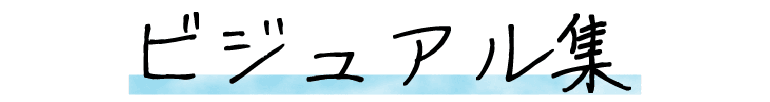 ビジュアル集